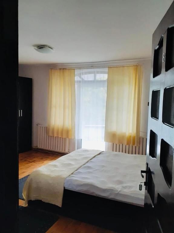 Гостевой дом Pensiunea Vika Клуж-Напока-16