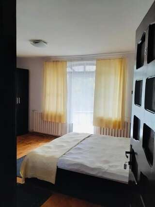 Гостевой дом Pensiunea Vika Клуж-Напока Двухместный номер с 1 кроватью-3