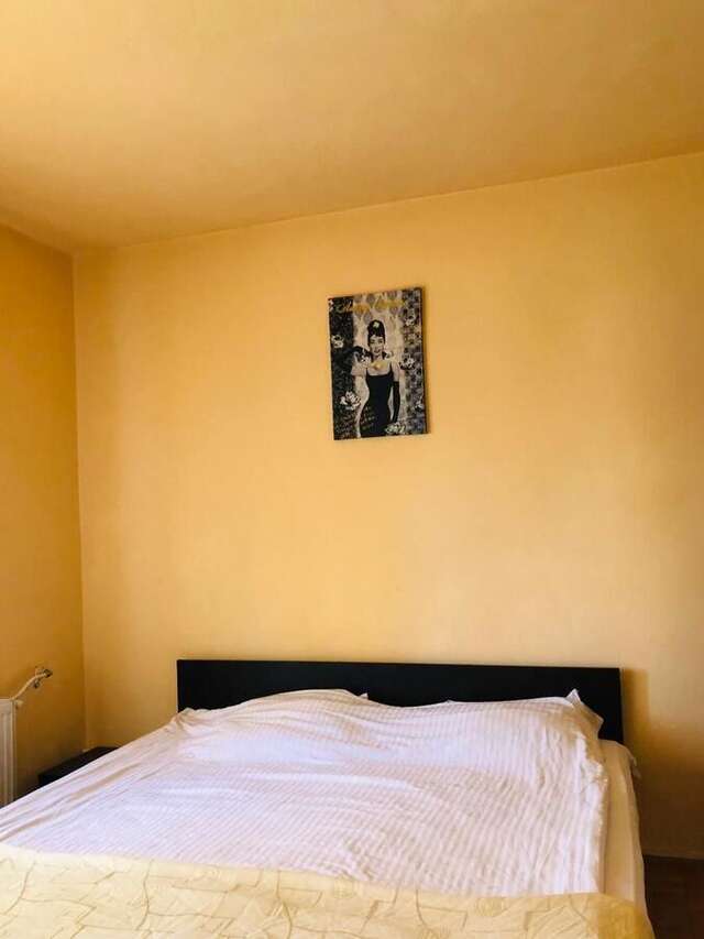 Гостевой дом Pensiunea Vika Клуж-Напока-14