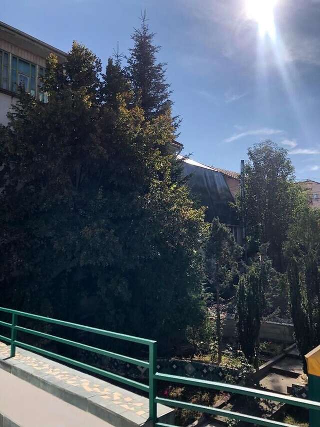 Гостевой дом Pensiunea Vika Клуж-Напока-11